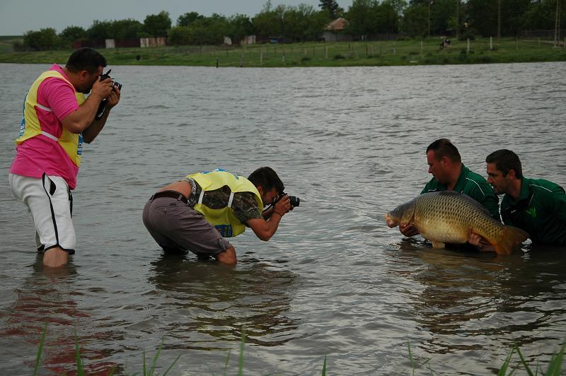 Mansa 1 CN 2012, Sarulesti. Goana dupa “dulapi”